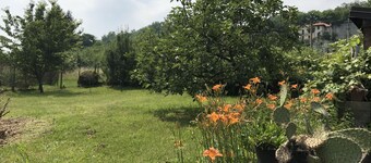 Villa surrounded by greenery overlooking Lake Maggiore