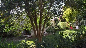 Een tuin met verschillende bomen en struiken, een gazon en een klein pad.
