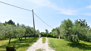 Un chemin de gravier traverse un verger bordé d’arbres des deux côtés.