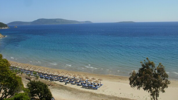 A beach with rows of umbrellas and lounge chairs, a sandy shore, and the sea.