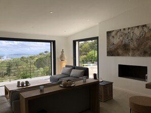 Smart TV, fireplace, ping pong, books