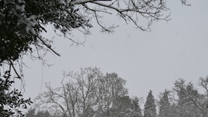 A snow-covered pathway with a wooden fence on one side and trees on the other.