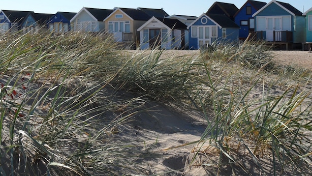 A row of beach houses with a sandy path leading to them, surrounded by tall grasses.