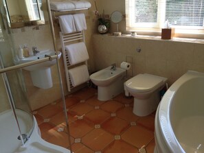 Bathtub, hair dryer, bidet, towels