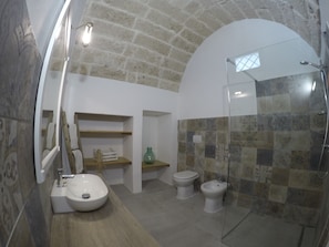 Ducha, secador de pelo, bidé y toallas