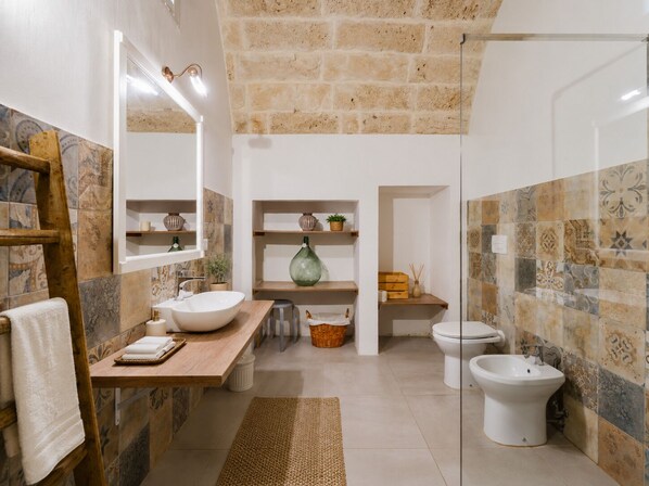 Shower, hair dryer, bidet, towels