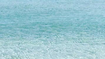Lettini da mare