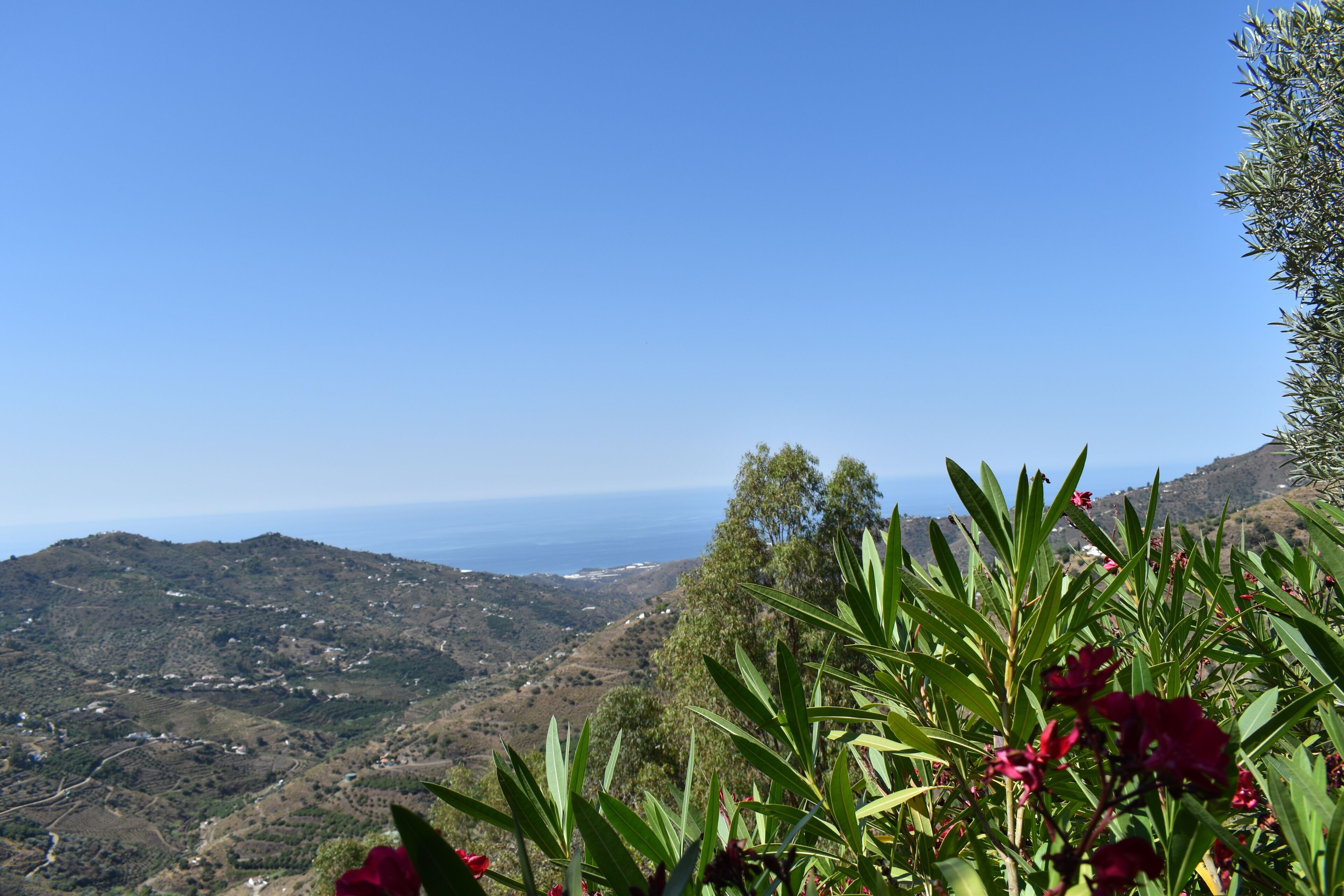 A mountainous landscape with a clear view of the ocean.