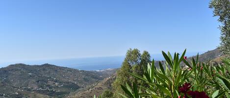 A mountainous landscape with a clear view of the ocean.