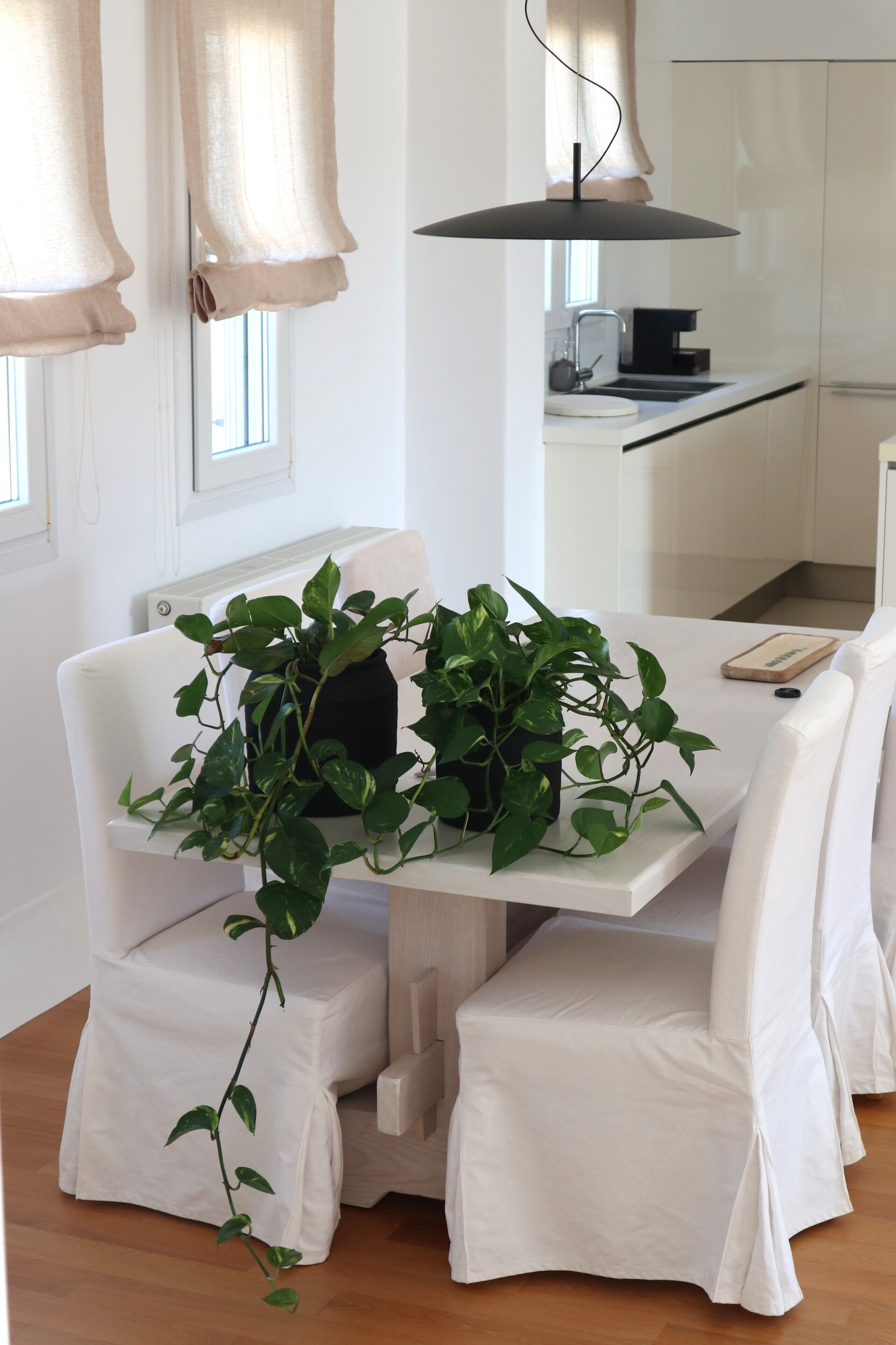 Opholdsområde