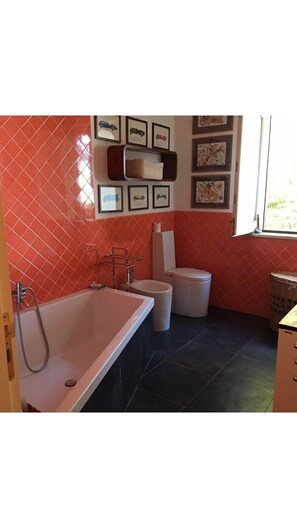 Combined shower/tub, hair dryer, bidet, towels