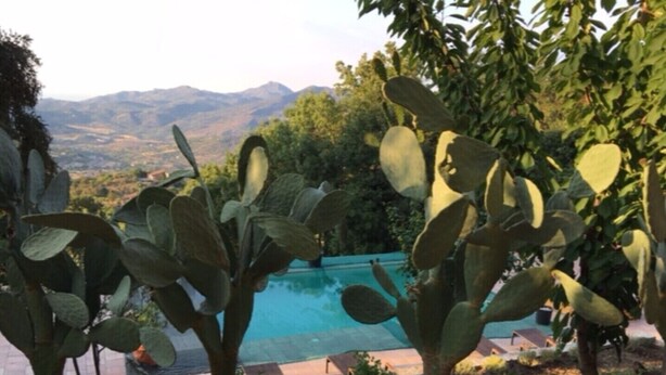 A cactus plant in a garden with a pool and mountains in the background. - Apartment in villa with air-conditioned pool (Castelbuono (Pa))