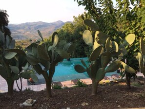 A cactus plant in a garden with a pool and mountains in the background. - Apartment in villa with air-conditioned pool (Castelbuono (Pa))