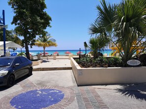 Une vue sur la plage, avec une voiture garée sur le côté, un palmier et un tapis bleu posé sur le trottoir.