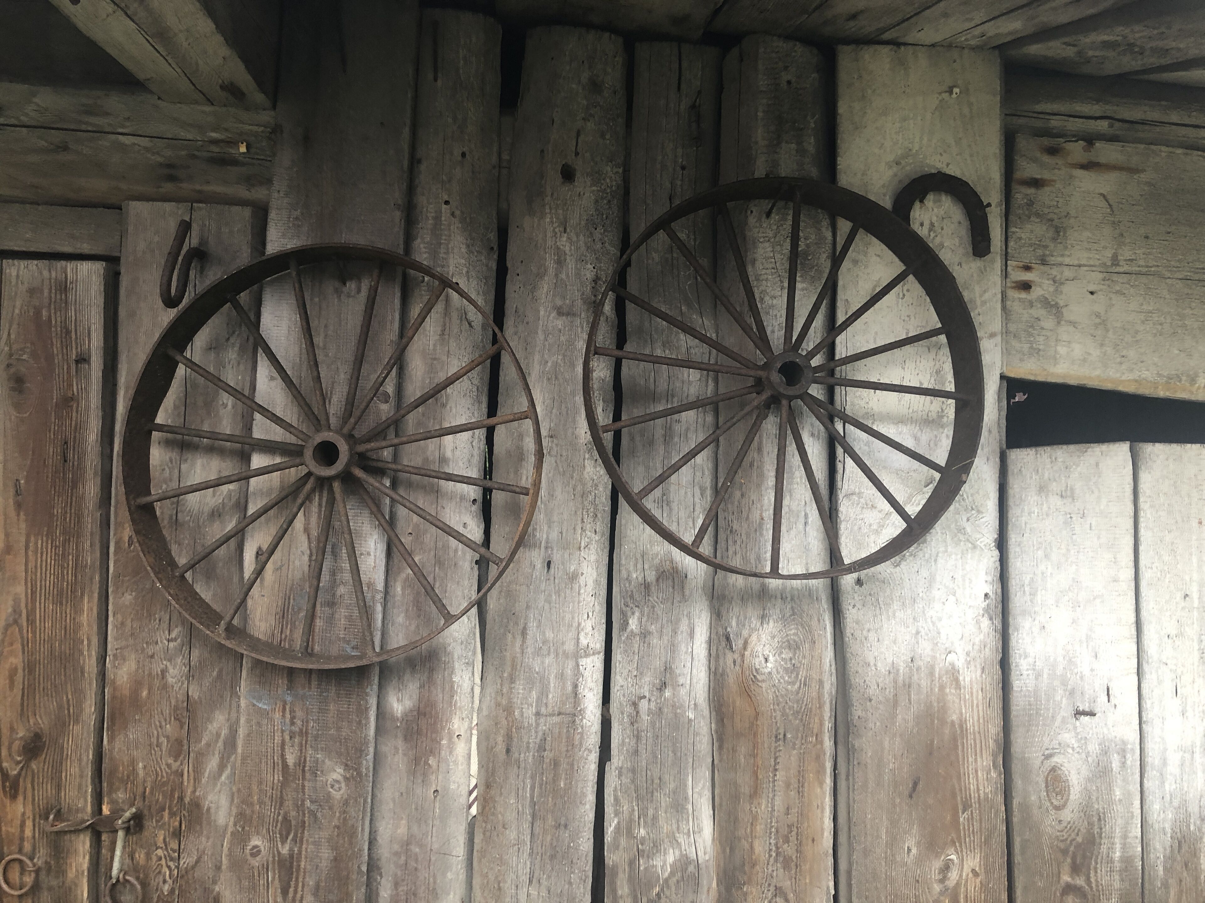 Twee grote houten wielen bevestigd aan een wand in een rustiek houten interieur.