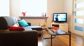 تلفزيون، مشغل دي في دي