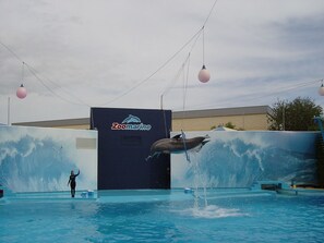 Una piscina climatizada