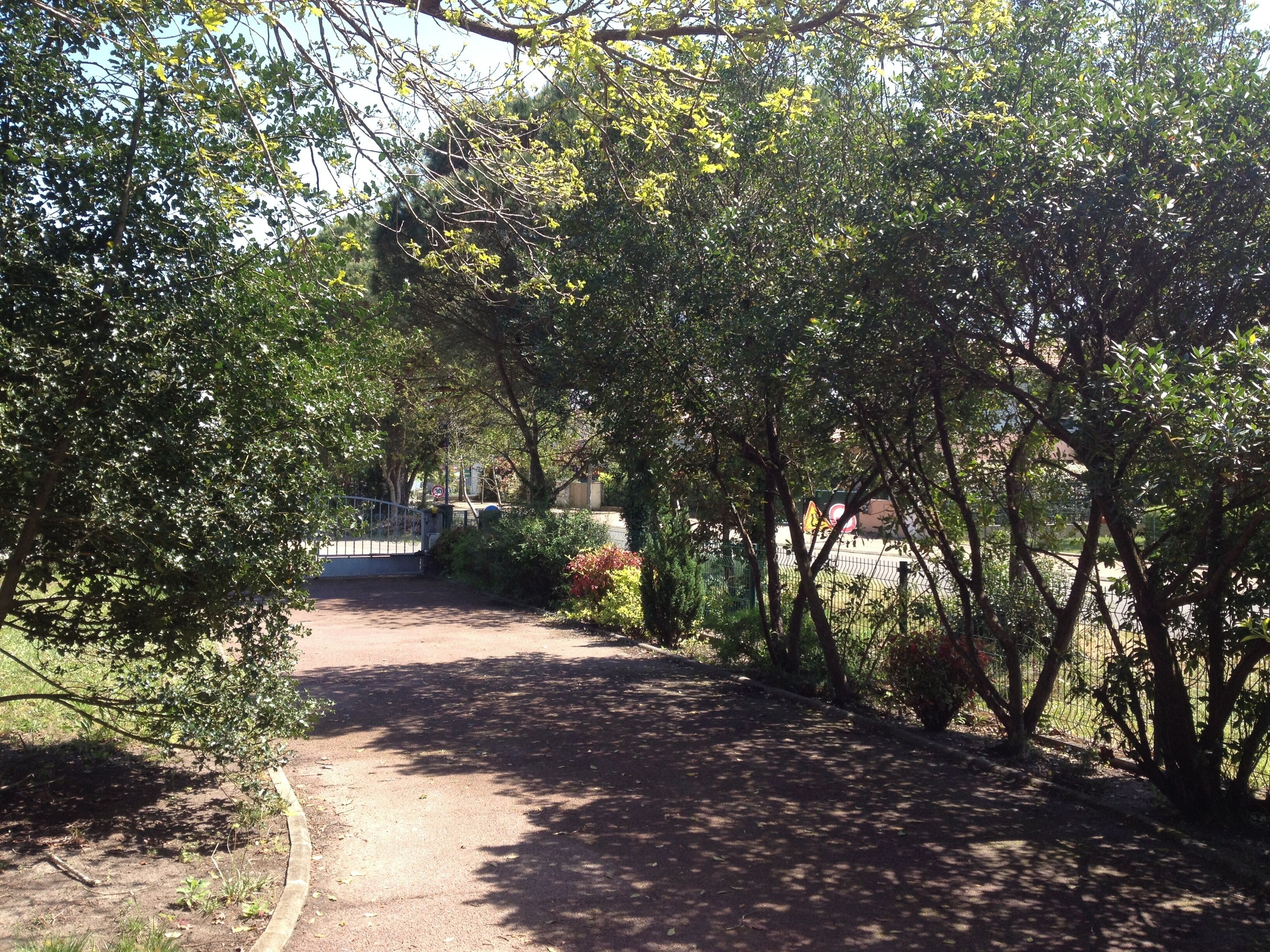 Uma trilha cercada por árvores e vegetação, conduzindo a um edifício.