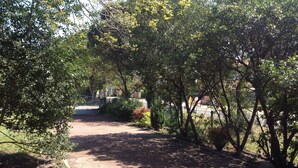 Un sendero rodeado de árboles y follaje, que conduce a un edificio.