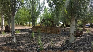 Un bac à plantes en pierre, doté d’une structure métallique, situé dans un espace paysager agrémenté d’arbres et de paillis.