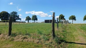 A rural landscape with a fenced field, trees, and a building in the distance.