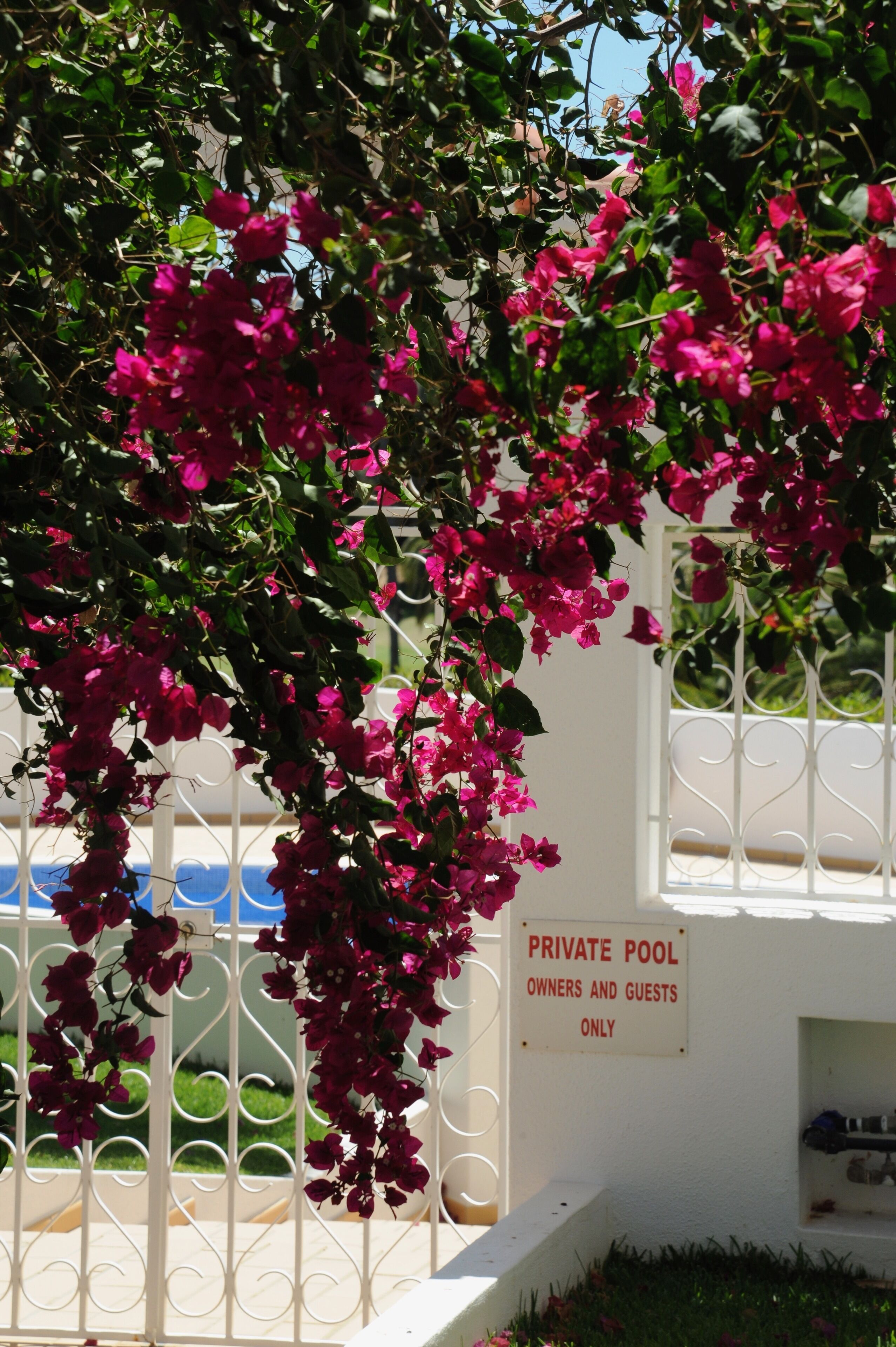 Zona de piscina privada amb un cartell que indica que és només per a propietaris i hostes.