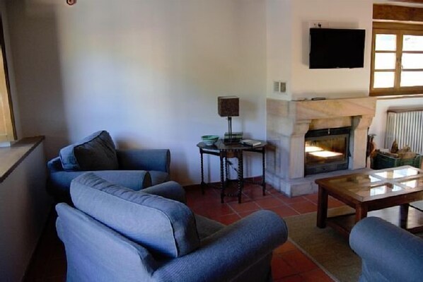 TV, fireplace, books