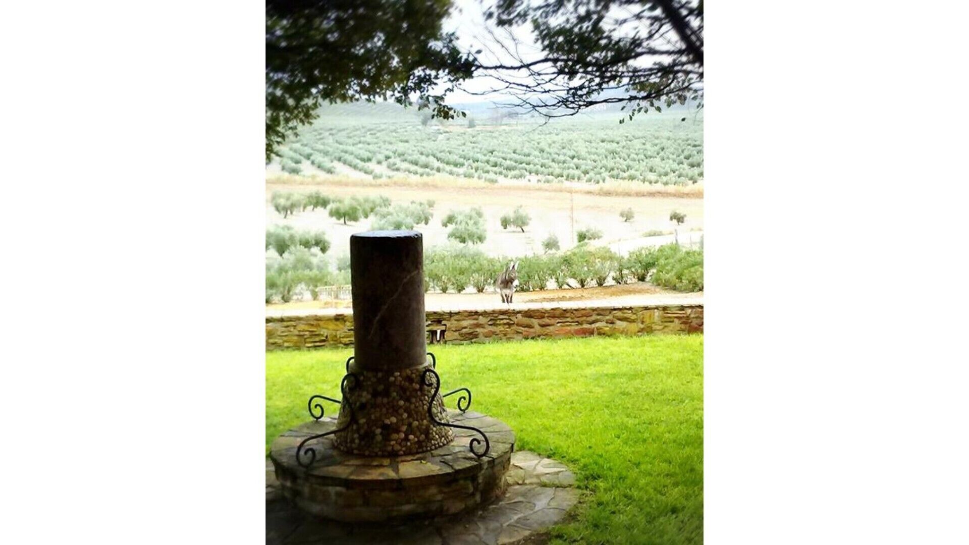 Cortijo Cabañas Rural Apartments. Apt- first right