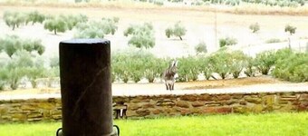Cortijo Cabañas Apartamentos Rurales. Apt- primero derecha