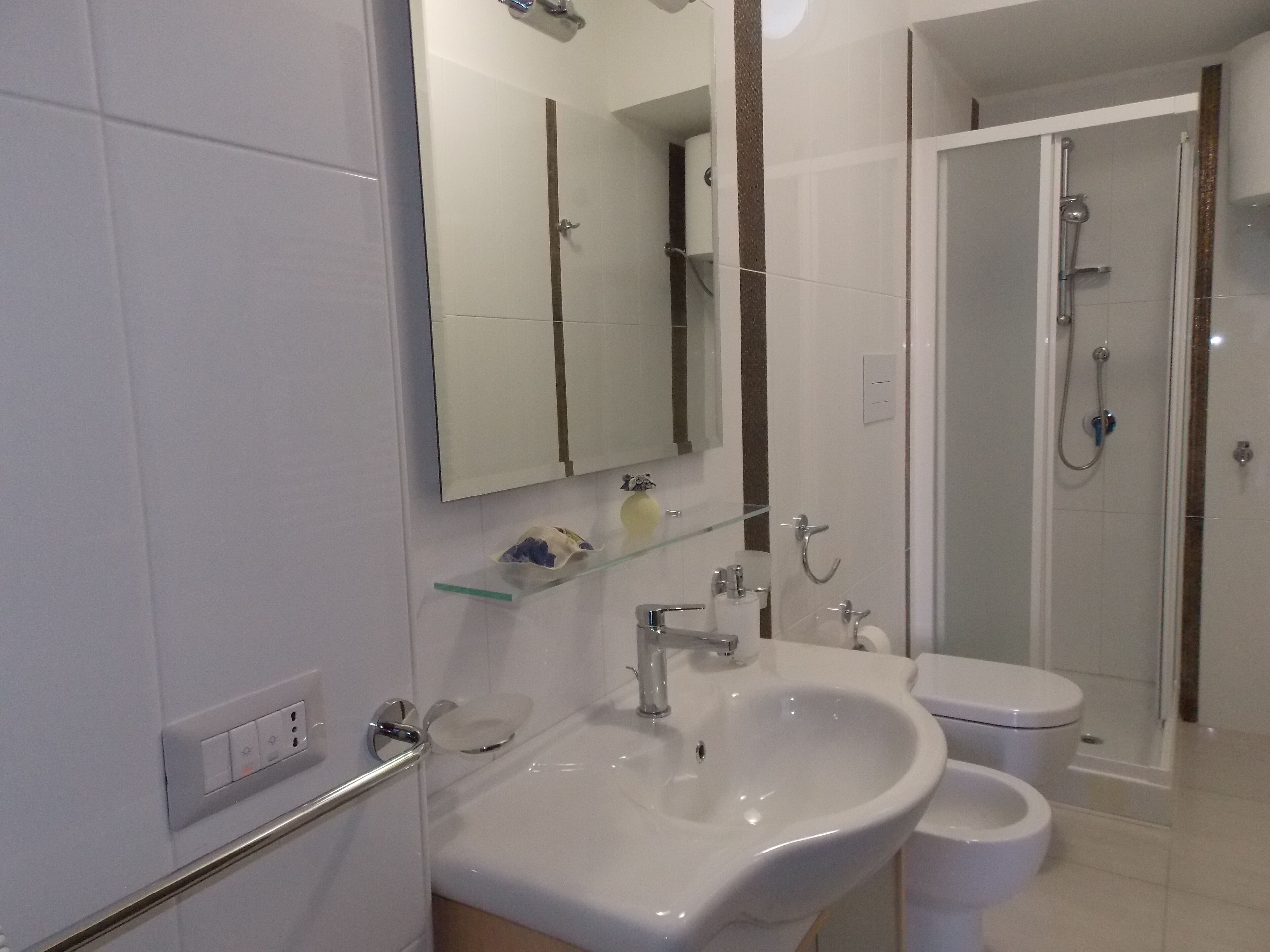 Shower, hair dryer, bidet, towels