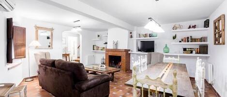 TV, fireplace, books