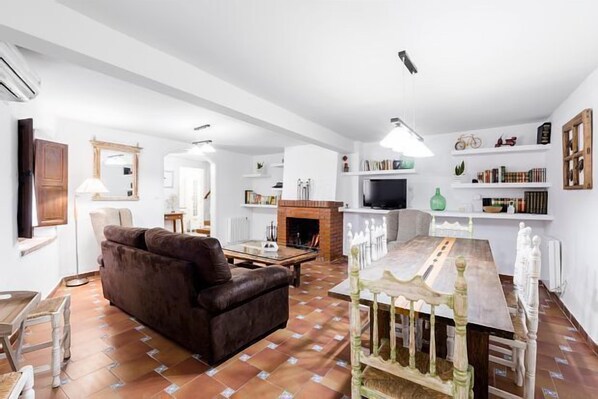 TV, fireplace, books