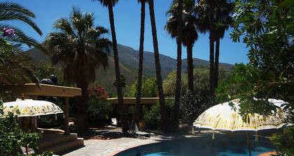 Alcazaba - self-catering house with 2 double bedrooms, shower room and terrace