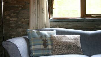 Smart TV, fireplace, DVD player, stereo