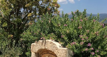 Menegata garden home