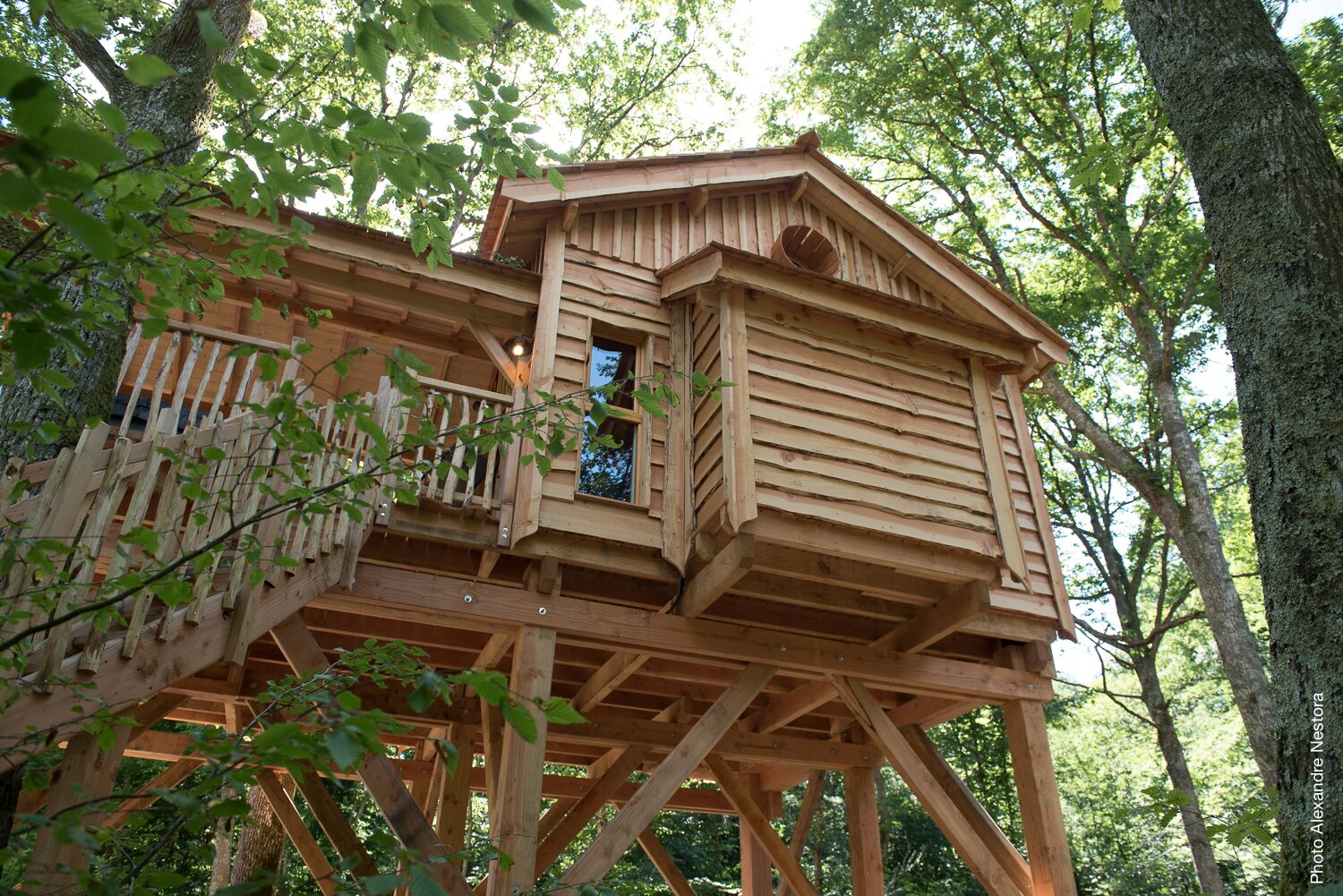 Une cabane en bois perchée dans un arbre, dotée d’un balcon et construite sur pilotis, entourée d’arbres.