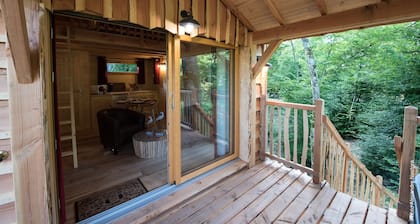 LUXURY CABIN WITH SPA IN TREES