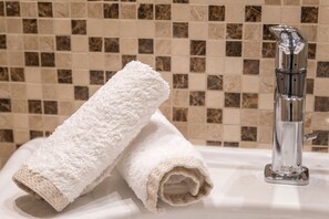 Shower, hair dryer, bidet, towels