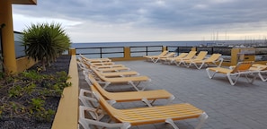 Terras