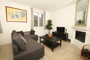Smart TV, caminetto, lettore DVD, libri