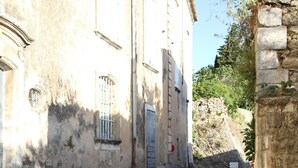 A cobblestone street leading to a building with a door and windows.