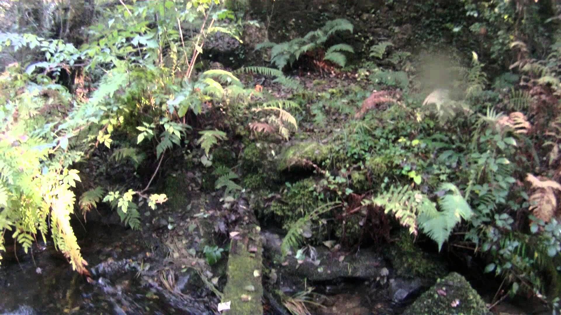 ROOM A - IN RURAL HOUSE