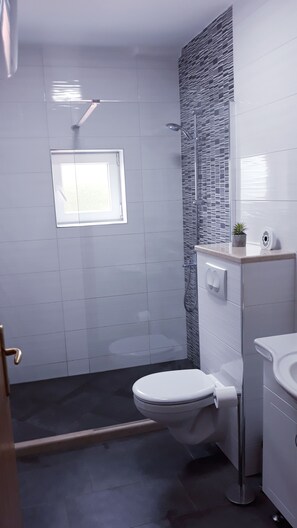 Combined shower/bathtub, hair dryer, towels, soap