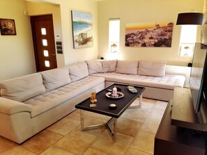 TV, fireplace, video games, DVD player
