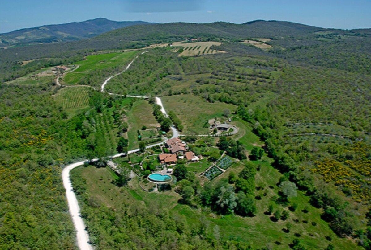 Imagen de perfil del propietario o de la propietaria