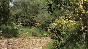 A stone pathway leading through a garden with various shrubs and trees. - Countryside, garden on large plot, with dominant terrace and views (Lasalle)