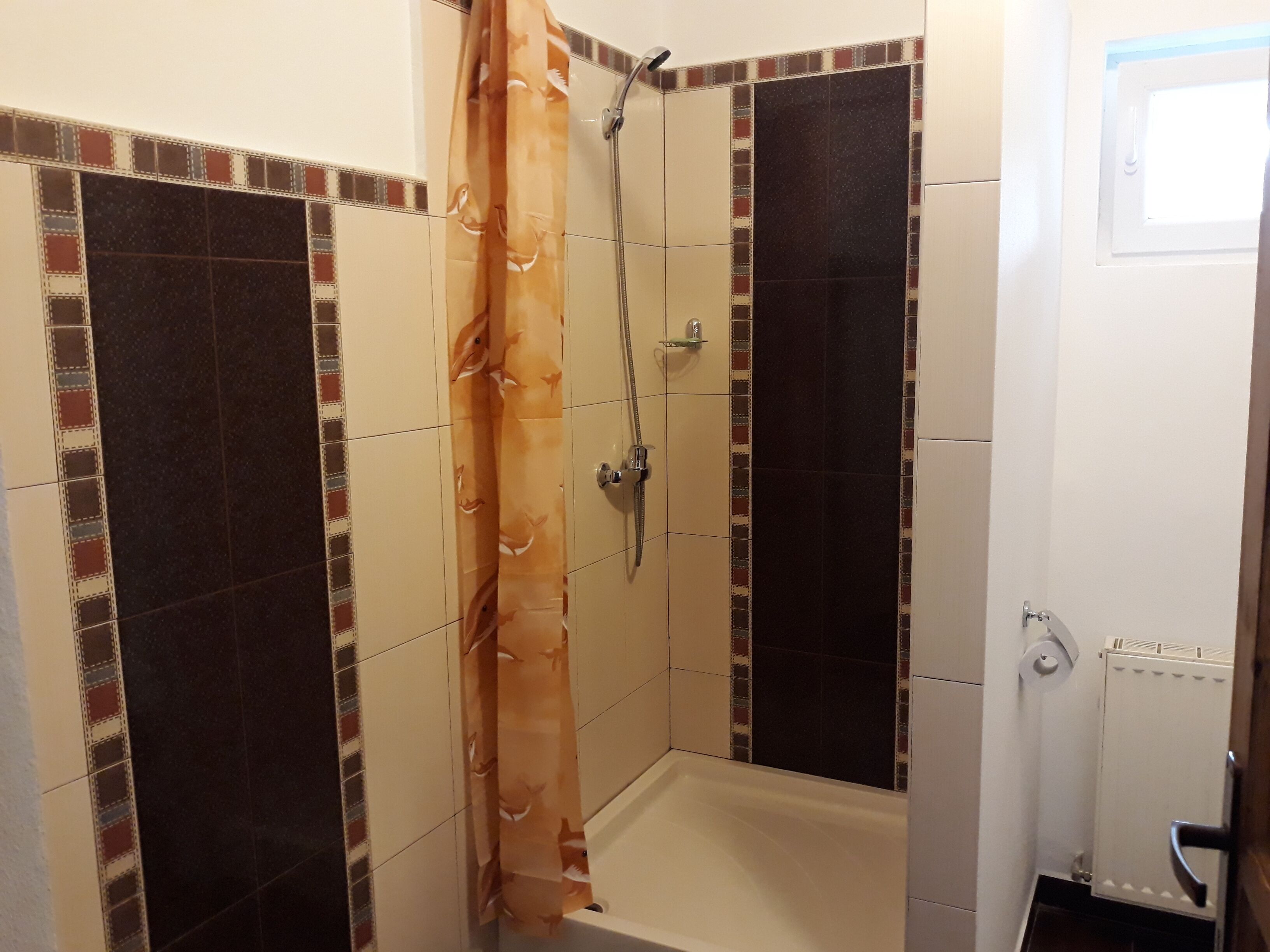 Ensemble douche/baignoire, sèche-cheveux, serviettes fournies