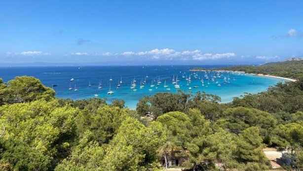 A coastal landscape with dense green trees, a clear blue sky, and numerous sailboats on the turquoise sea. - Apartment in France with Pool and Pine Views (La Londe les Maures)