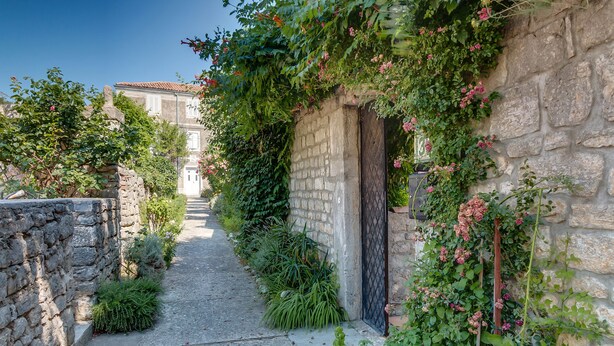 A narrow stone pathway flanked by lush greenery and a stone wall, leading to a traditional building with a tiled roof.