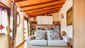 Ein gemütliches Wohnzimmer mit einer Couch, einer Küchenzeile mit Schränken und Geräten sowie einer Holzbalkendecke.
